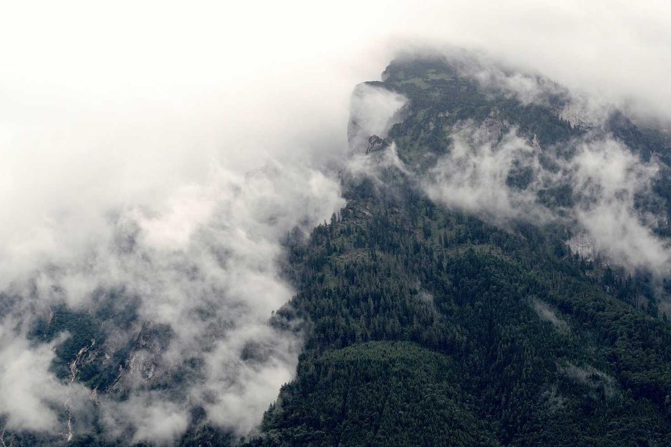 Reiciendis aspernatur veniam assumenda et